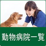 動物病院一覧